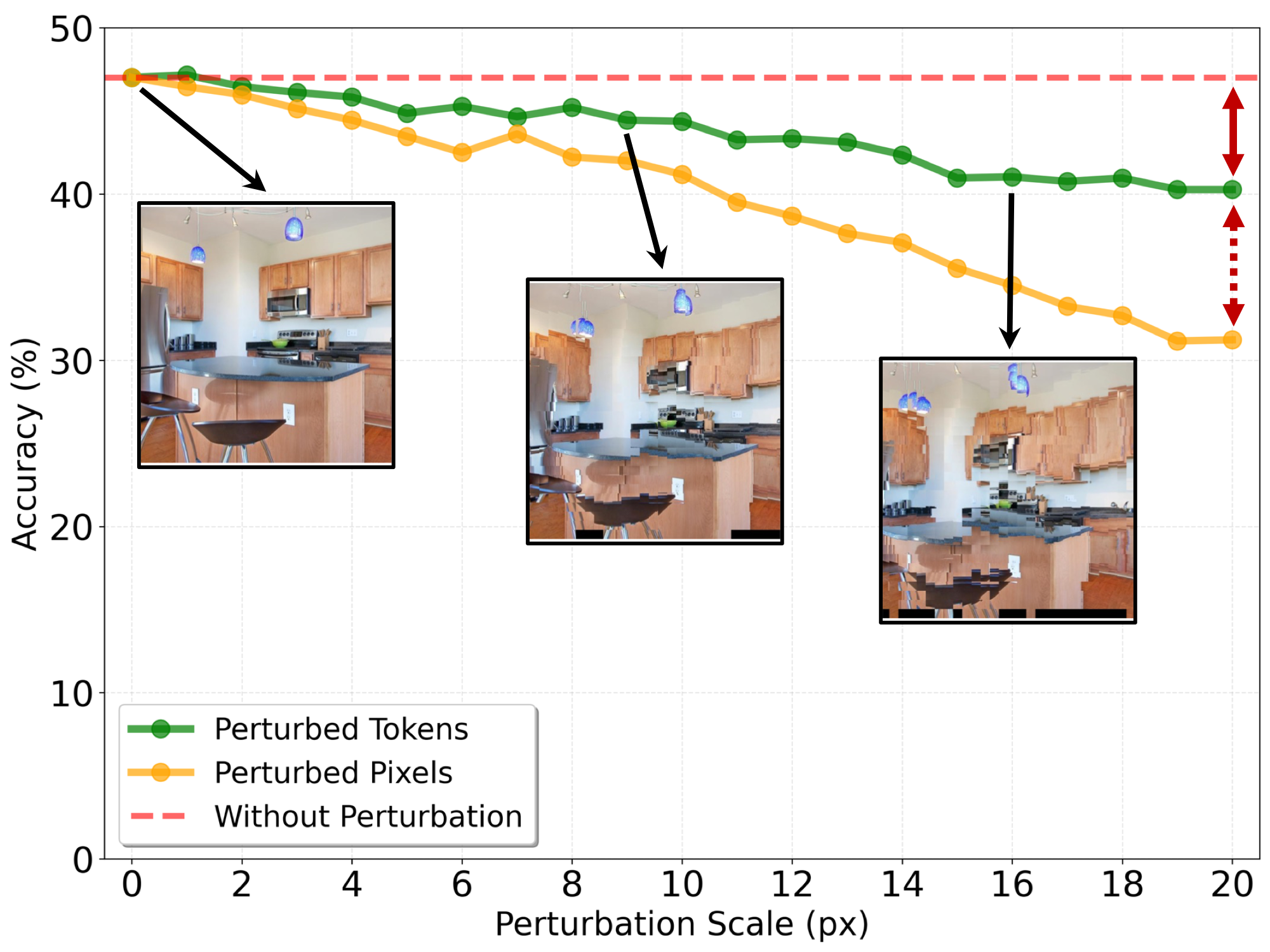 Token representations in MLLMs are highly robust to positional noise. Accuracy remains stable even with perturbations approaching 19-20 pixels, exhibiting only mild degradation.